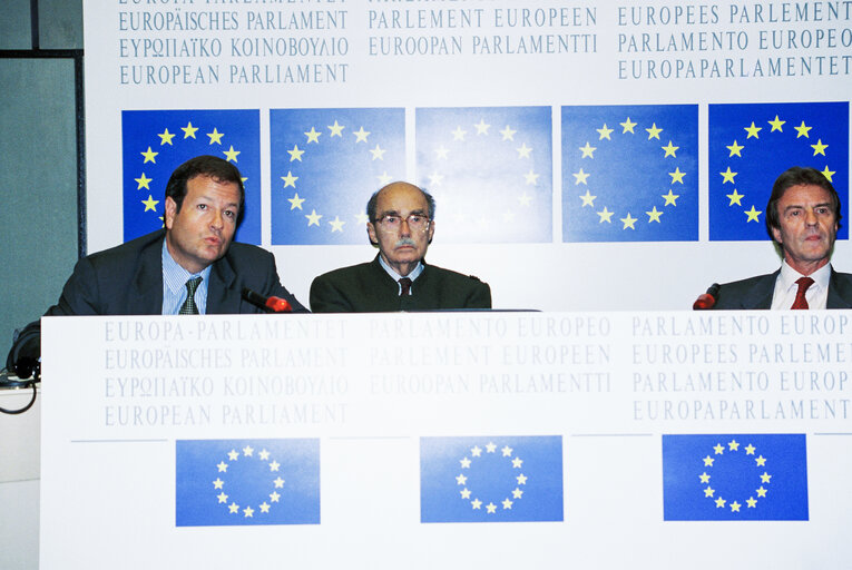 Photo 3 : Press conference in Strasbourg