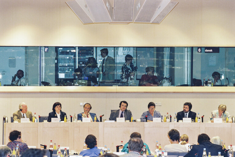 Foto 35: Meeting of the Committee on Petitions