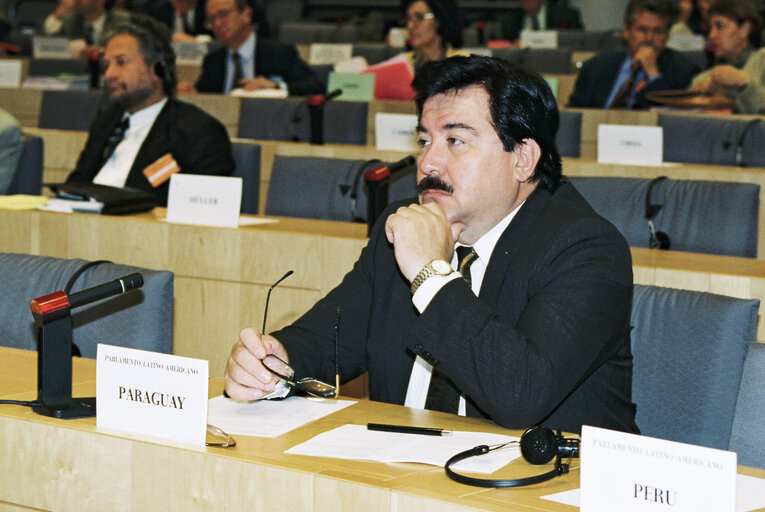 Fotografija 47: Bi-annual Conference of the European Parliament and the Latin American Parliament