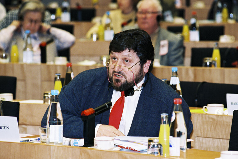 Fotografija 1: Committee on Institutional Affairs - Public hearing - 1996 Intergovernmental Conference - The European Parliament : A Sounding Board for Europe's Citizens