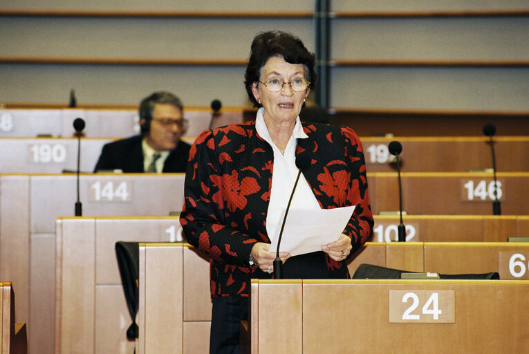 Plenary session in Brussels