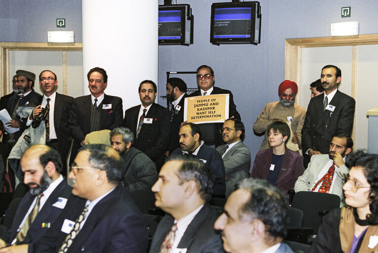 Suriet 3: British MEPs with visitors from Kashmir