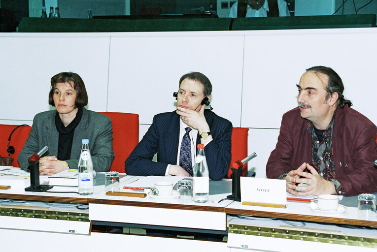 Foto 2: Greens group meeting with British economist Bernard CONNOLLY