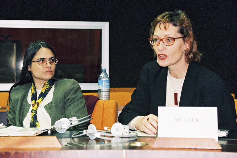 Fotografia 7: Meeting of the Greens group