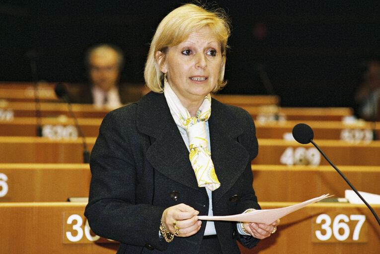 Plenary session in Brussels