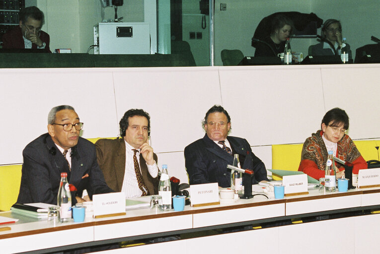 Inter-parliamentary Meeting at the European Parliament in Brussels