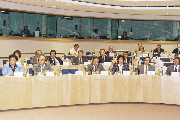 Valokuva 7: EU-Russia Meeting in the European Parliament