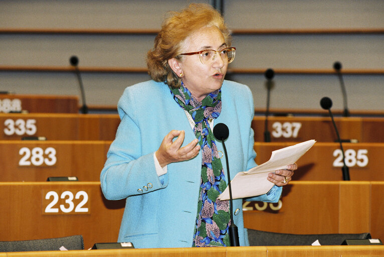 Plenary session in Brussels