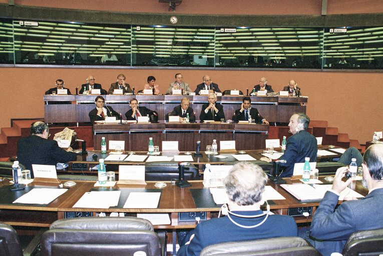 Fotografi 8: Meeting with Helmut KOHL, German Chancellor at the European Parliament in Strasbourg