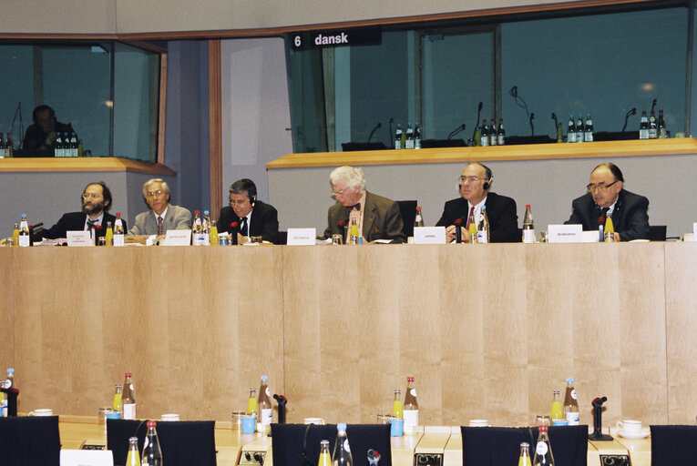 Photo 8: Meeting of the Committee on External Relations