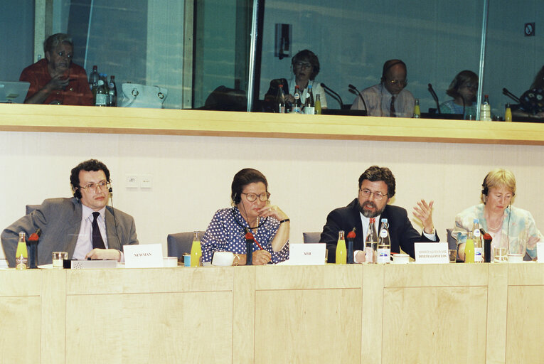 Fotografie 8: Meeting of the Committee on Petitions