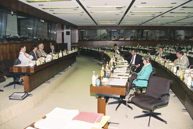 Foto 7: Meeting of the Committee on Economic  and Monetary Affairs and Industrial Policy