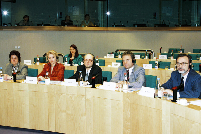 Meeting of the EP-Estonia delegation