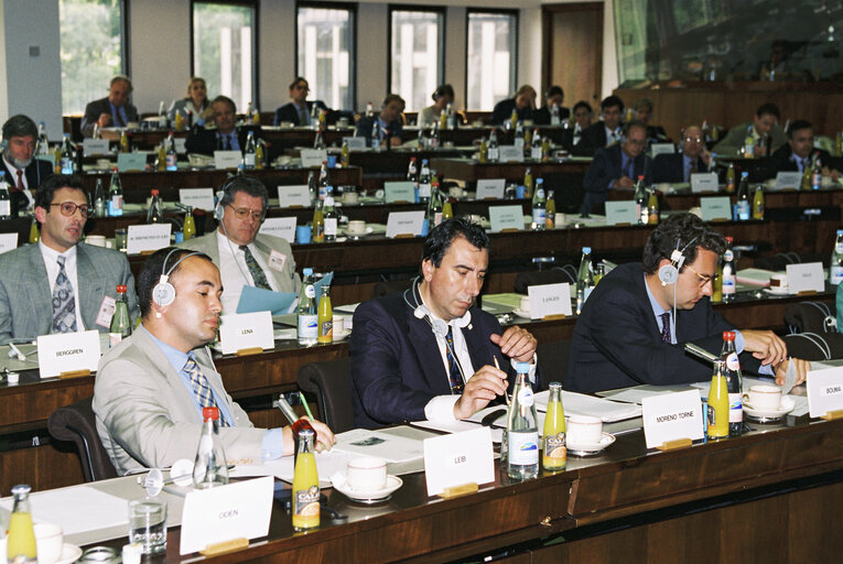 Foto 6: Meeting of the Committee on Economic  and Monetary Affairs and Industrial Policy