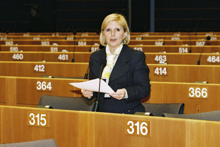 Plenary session in Brussels