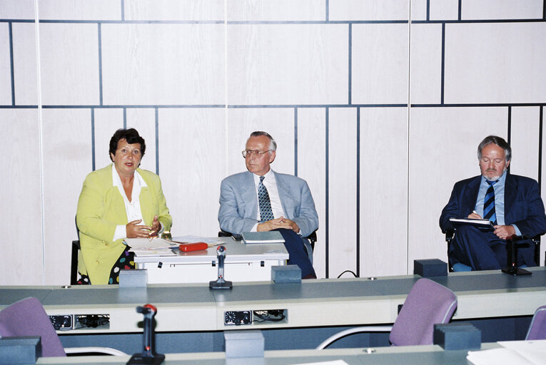 Austrian MEPs with visitors in Strasbourg