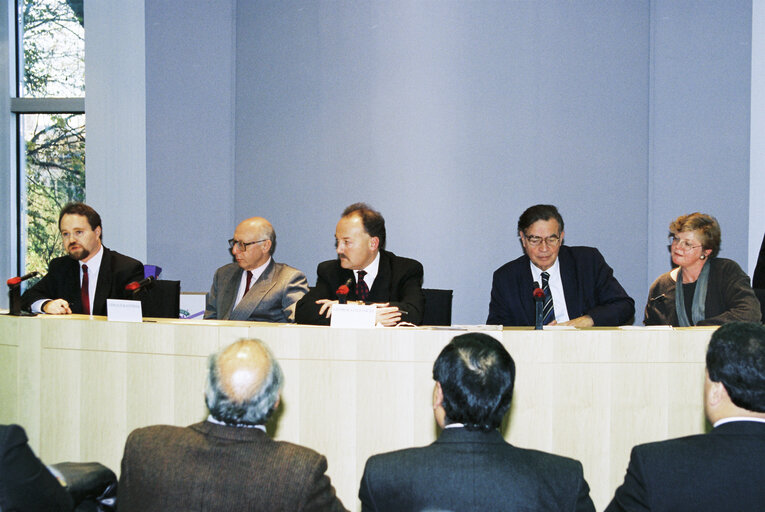 Suriet 6: British MEPs with visitors from Kashmir