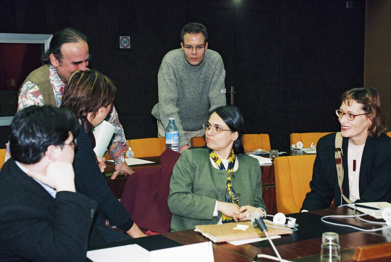 Fotografija 8: Meeting of the Greens group