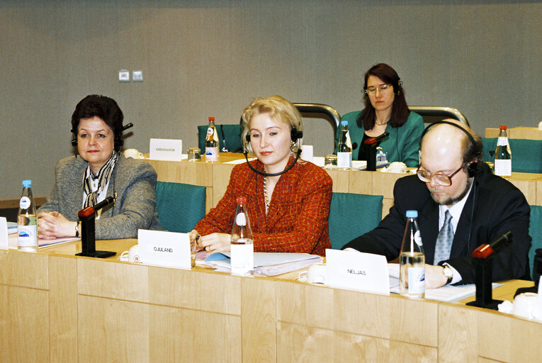 Fotografija 5: Meeting of the EP-Estonia delegation