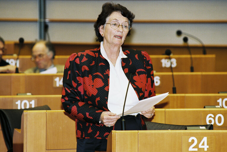 Plenary session in Brussels