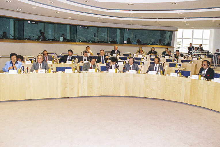 Valokuva 9: EU-Russia Meeting in the European Parliament