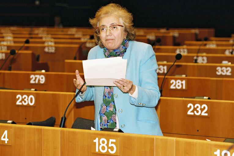 Plenary session in Brussels