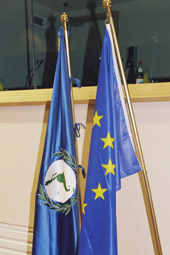 Fotografija 1: Flags of the Bi-annual Conference of the European Parliament and the Latin American Parliament