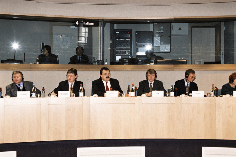 Meeting of the EP-Estonia delegation