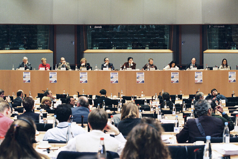 Fotografija 22: Committee on Institutional Affairs - Public hearing - 1996 Intergovernmental Conference - The European Parliament : A Sounding Board for Europe's Citizens