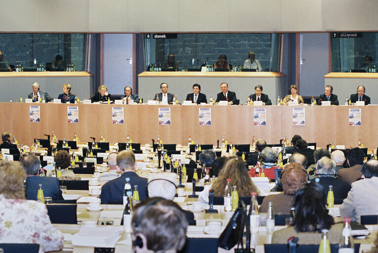 Committee on Institutional Affairs - Public hearing - 1996 Intergovernmental Conference - The European Parliament : A Sounding Board for Europe's Citizens