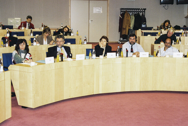 Foto 18: EU-Cyprus Parliamentary Committee meeting