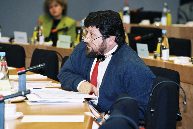 Fotografija 5: Committee on Institutional Affairs - Public hearing - 1996 Intergovernmental Conference - The European Parliament : A Sounding Board for Europe's Citizens