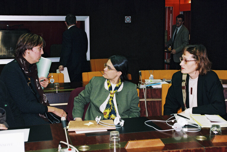 Photo 10 : Meeting of the Greens group