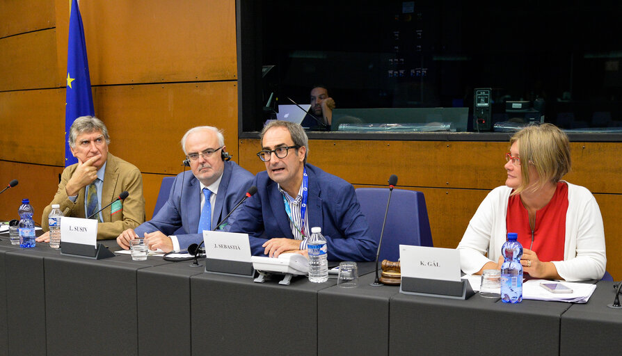 Fotografija 6: Meeting of the Minority Intergroup