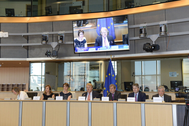 Photo 12: Extraordinary AFET meeting on Turkey