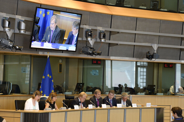 Photo 3: Extraordinary AFET meeting on Turkey