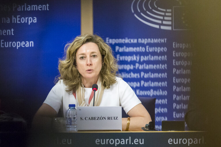 Valokuva 10: Press Conference on Access to medicines in the EU by Soledad CABEZON RUIZ (S&D, ES), rapporteur.