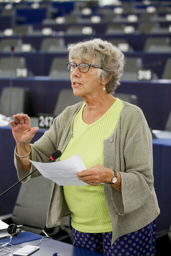 Fotografia 16: Plenary session in Strasbourg - Week 27 2016 - New initiatives related to the Middle East Peace Process