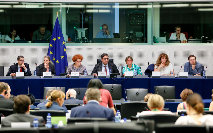 Billede 19: LIBE Committee - Vote on EU common list of safe countries of origin