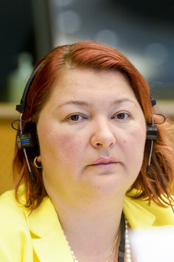 Billede 1: Committee on Culture and Education (CULT). - The implementation the European Strategy on Multilingualism