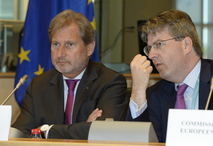 Photo 14: Extraordinary AFET meeting on Turkey