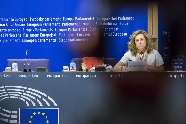 Valokuva 8: Press Conference on Access to medicines in the EU by Soledad CABEZON RUIZ (S&D, ES), rapporteur.