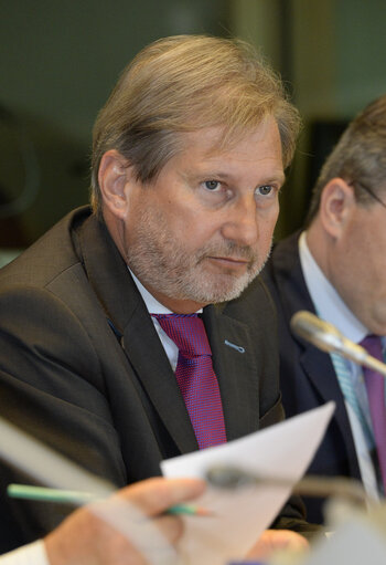 Photo 6: Extraordinary AFET meeting on Turkey