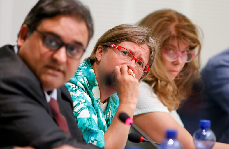 Billede 10: LIBE Committee - Vote on EU common list of safe countries of origin