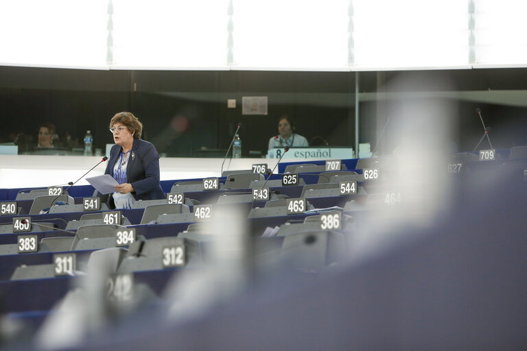 Fotografia 9: Plenary session in Strasbourg - Week 27 2016 - New initiatives related to the Middle East Peace Process