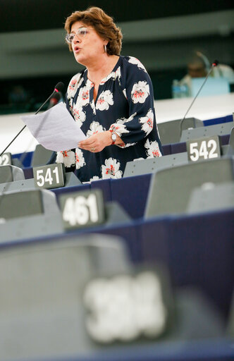 Photo 8: Plenary session in Strasbourg - Week 27  2016. Myanmar, notably the situation of Rohingyas