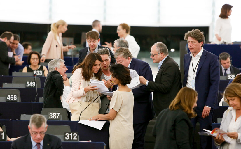 Photo 30 : Plenary session in Strasbourg - Week 27  2016. Votes