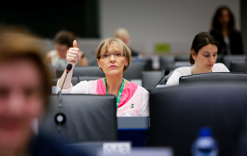 Billede 15: LIBE Committee - Vote on EU common list of safe countries of origin