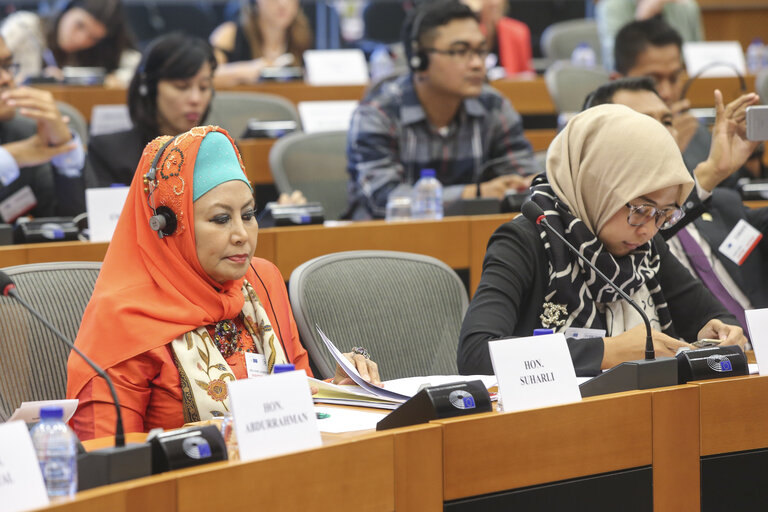 Fotografija 19: Meeting of the DASE (Delegation for Relations with the countries of South-East Asia and the ASEAN) with a high ranking Delegation from Indonesia