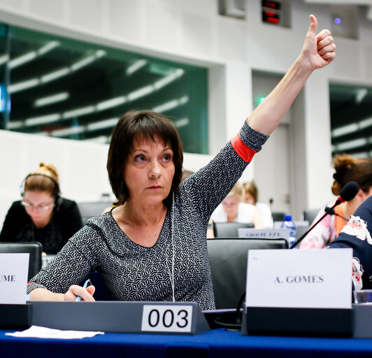 Billede 13: LIBE Committee - Vote on EU common list of safe countries of origin